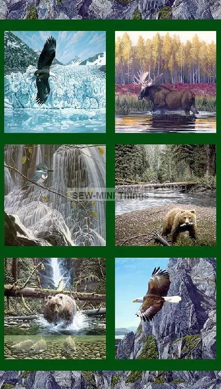 NATURE’S ODYSSEY FROM ROBERT KAUFMAN