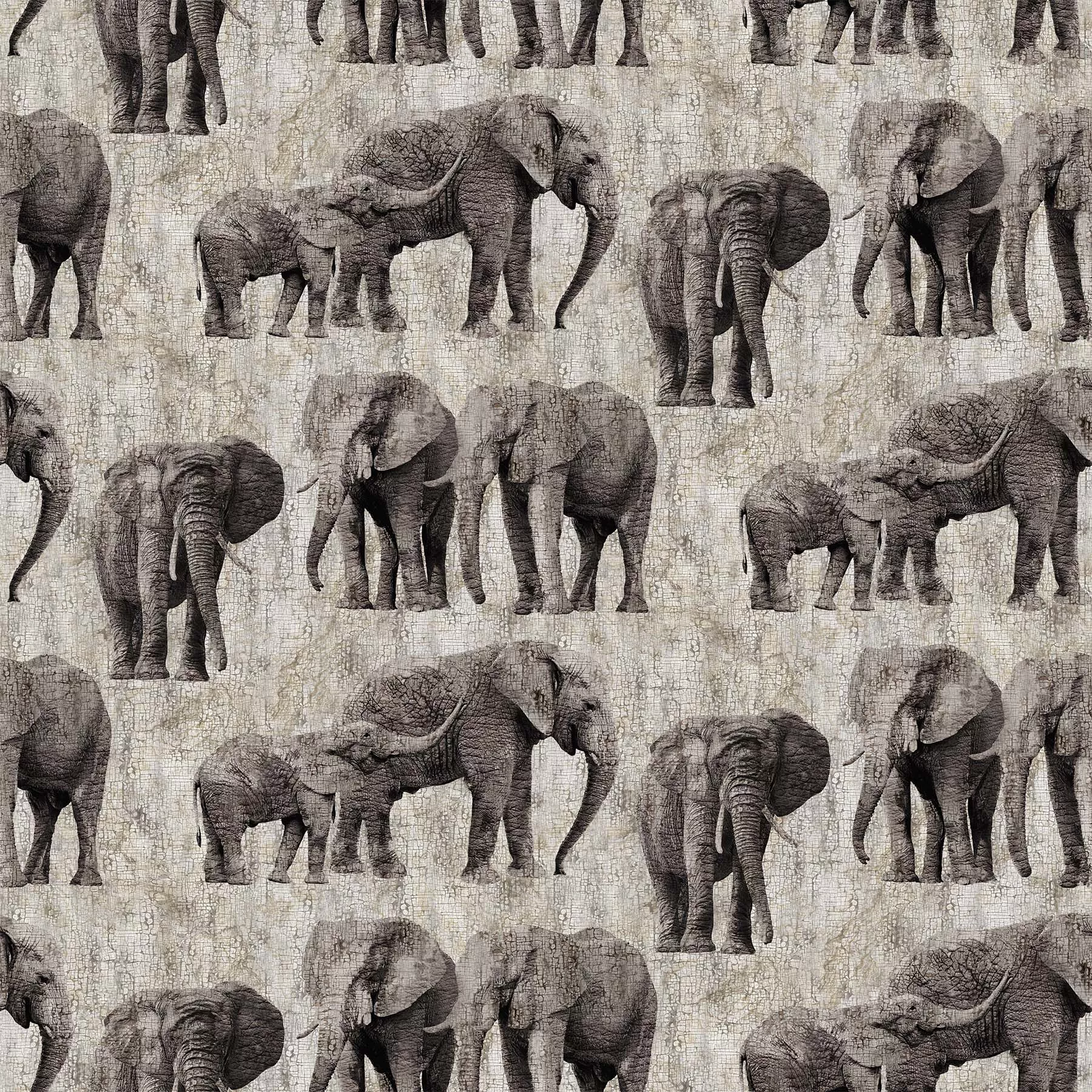 Northcott New Dawn Elephant Grey DP23923-94