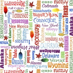 Painted Season : States Names Word Blender White - #1649-27885-Z - Desiree's Designs
