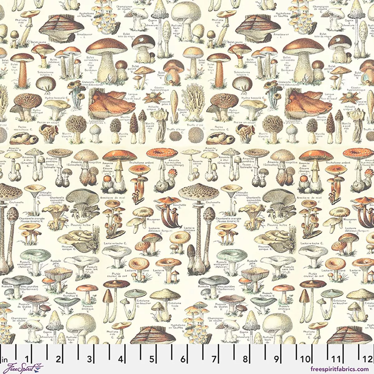 Palette Curated by Tim Holtz for FreeSpirit - Orange Toadstools PWTH236.CORANGE