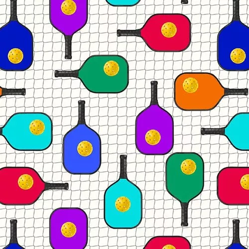 Pickleball Anyone? Pickleball Paddles on Net White