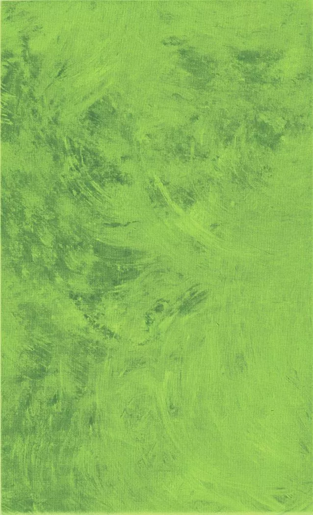 Plaster of Paris by Northcott -Lime 40009-72
