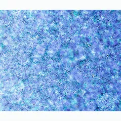 QT Effervescence Light Blue 28159-B ^