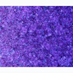 QT Effervescence Purple 28159-V 016542212450 ^