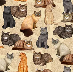 QT Felicity Cat And Medallion 28488-E ^