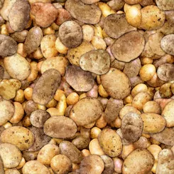 QT Fresh 28457-AK Potato ^