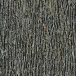 QT Open Air Bark28112-KJ Pepper 016542204349 ^
