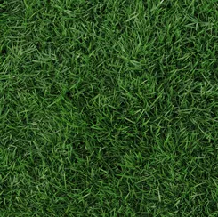QT Open Air Grass 28104-F Dark Green 016542200945 ^