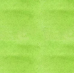 QT Vegetable Medley Green 2871-H 016542298225 ^