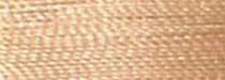 RA Polyester Embroidery Thread 1100 yds 5598 Taupe