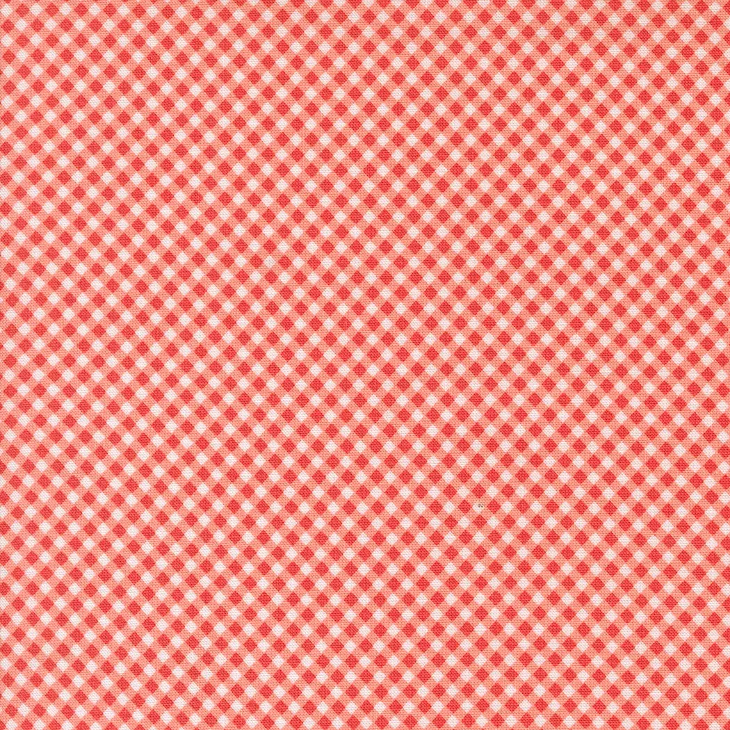 Raspberry Summer-Gingham Checks and Plaids-Carnation