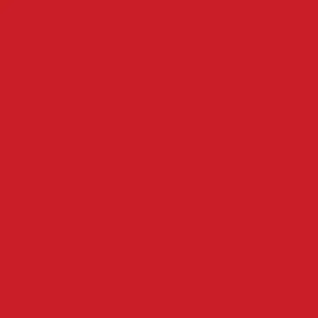 Red Comfort Flannel Solids