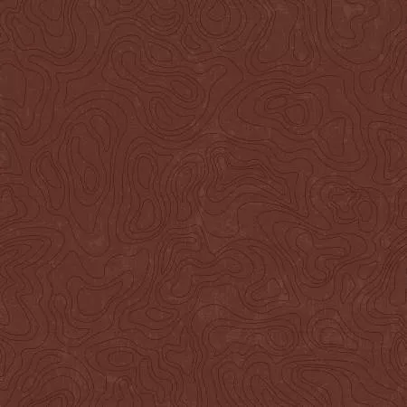 Riley Blake National Parks Topographic C13293 Brown ^