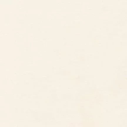 RK Kona Cotton Solid 108" Wide Back - K082-1037 BONE - Cotton Fabric