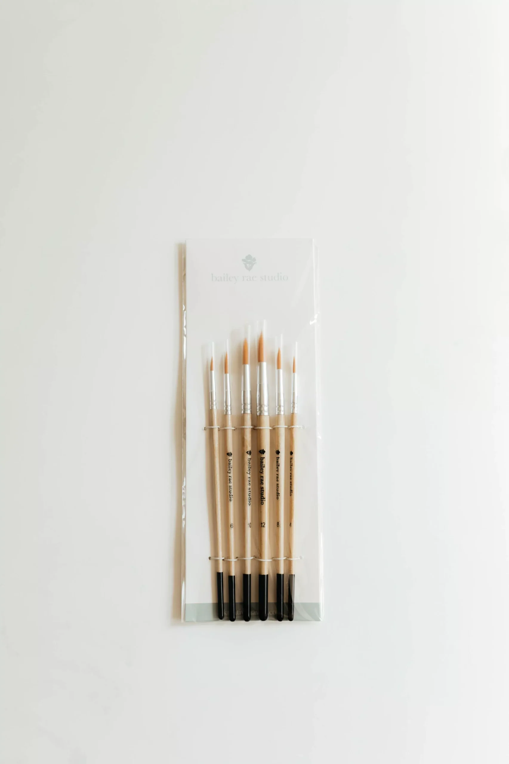 Round Tip Watercolor Brush Set -- 6 piece