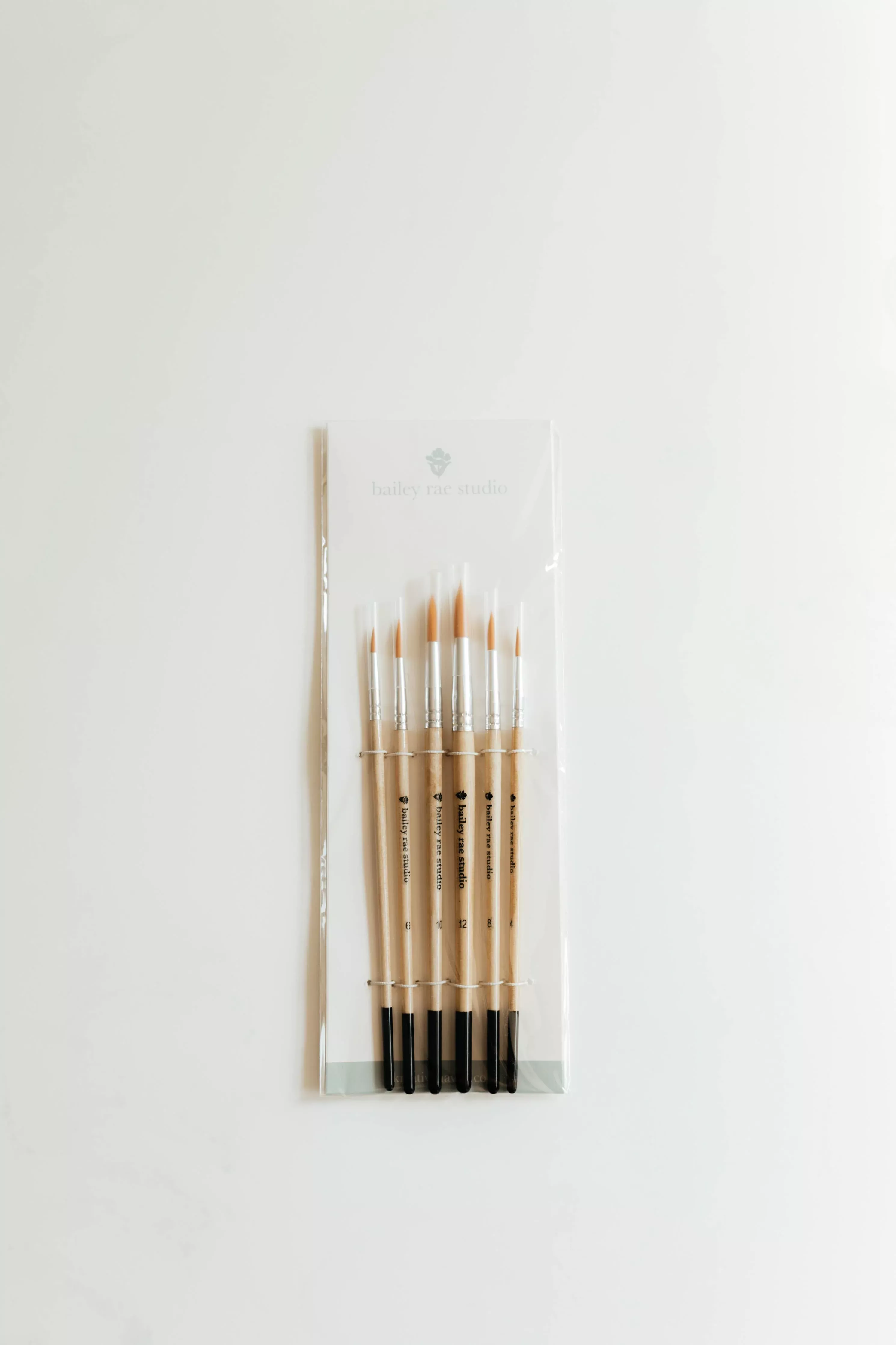 Round Tip Watercolor Brush Set -- 6 piece