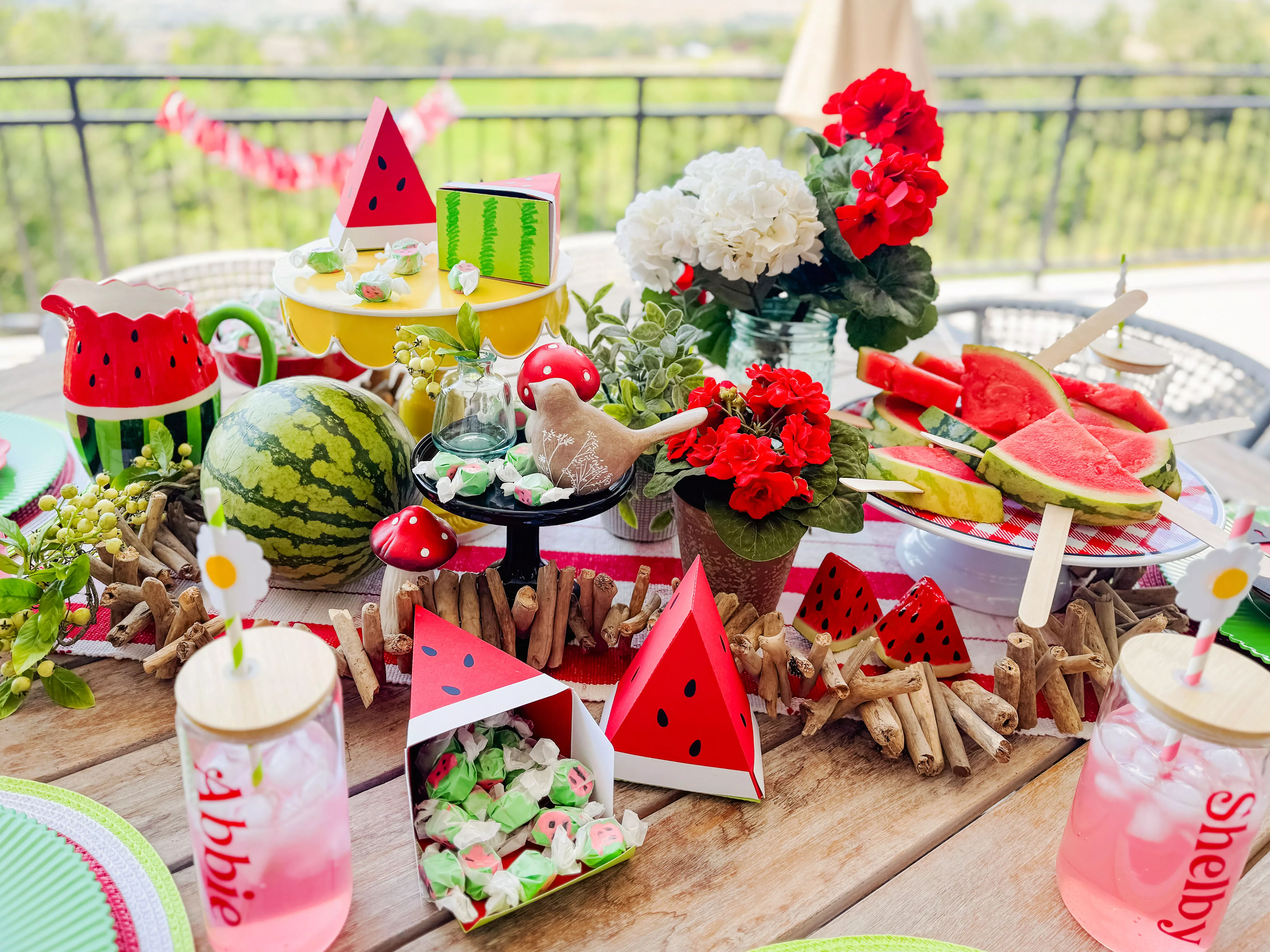 ScanNCut Watermelon Garden Party Kit