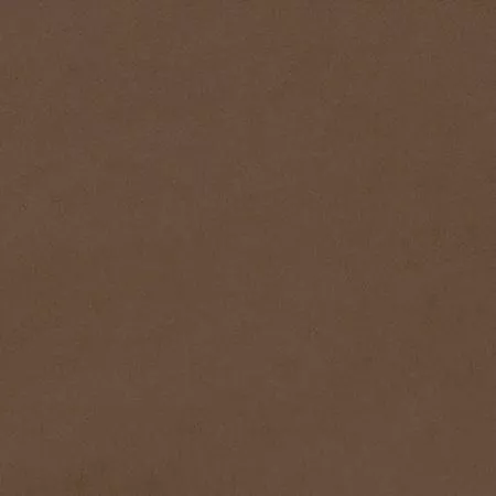 Shannon Fabrics 90 in Wide Solid Cuddle Minky C390-COCOA^