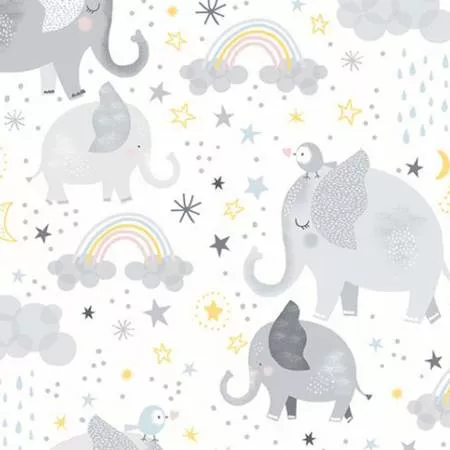 Shannon Fabrics Mama & Me Digital Cuddle MInky DCMAMAMESNOW .