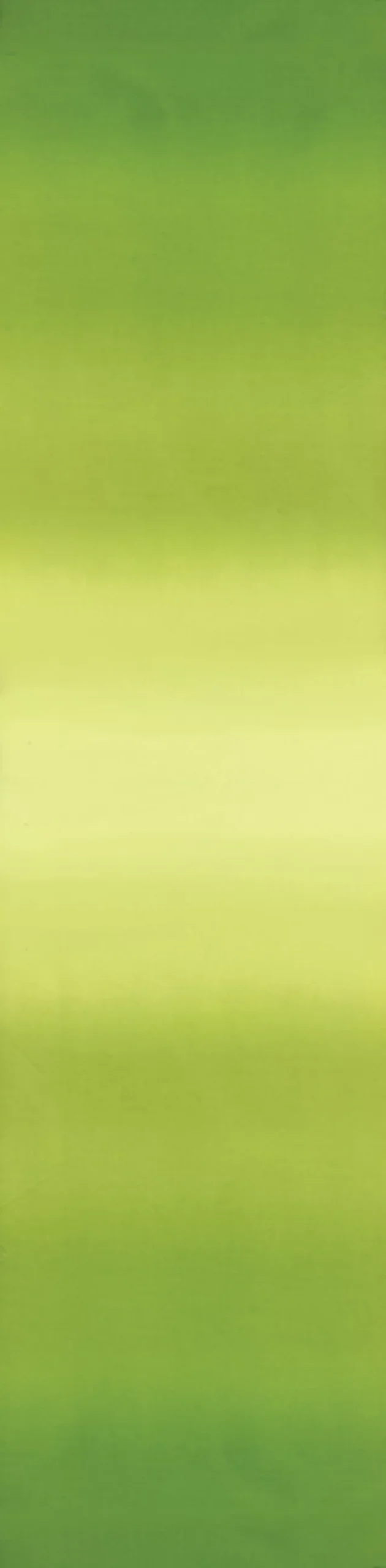 Simply Color : Ombre Lime Green - #10800-18 - V & Co.