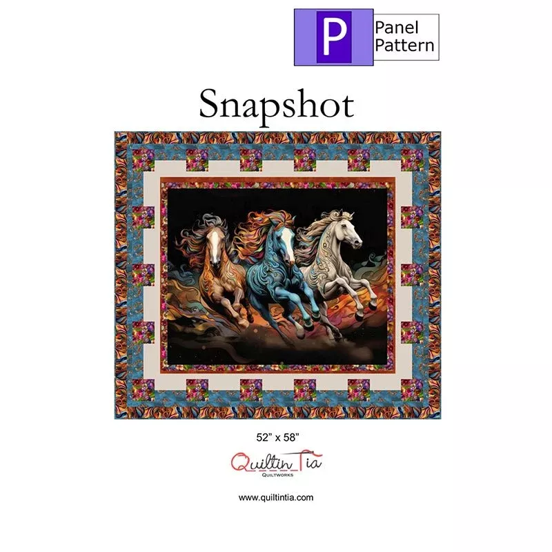 Snapshot Panel Quilt Pattern by Quiltin' Tia Quiltworks