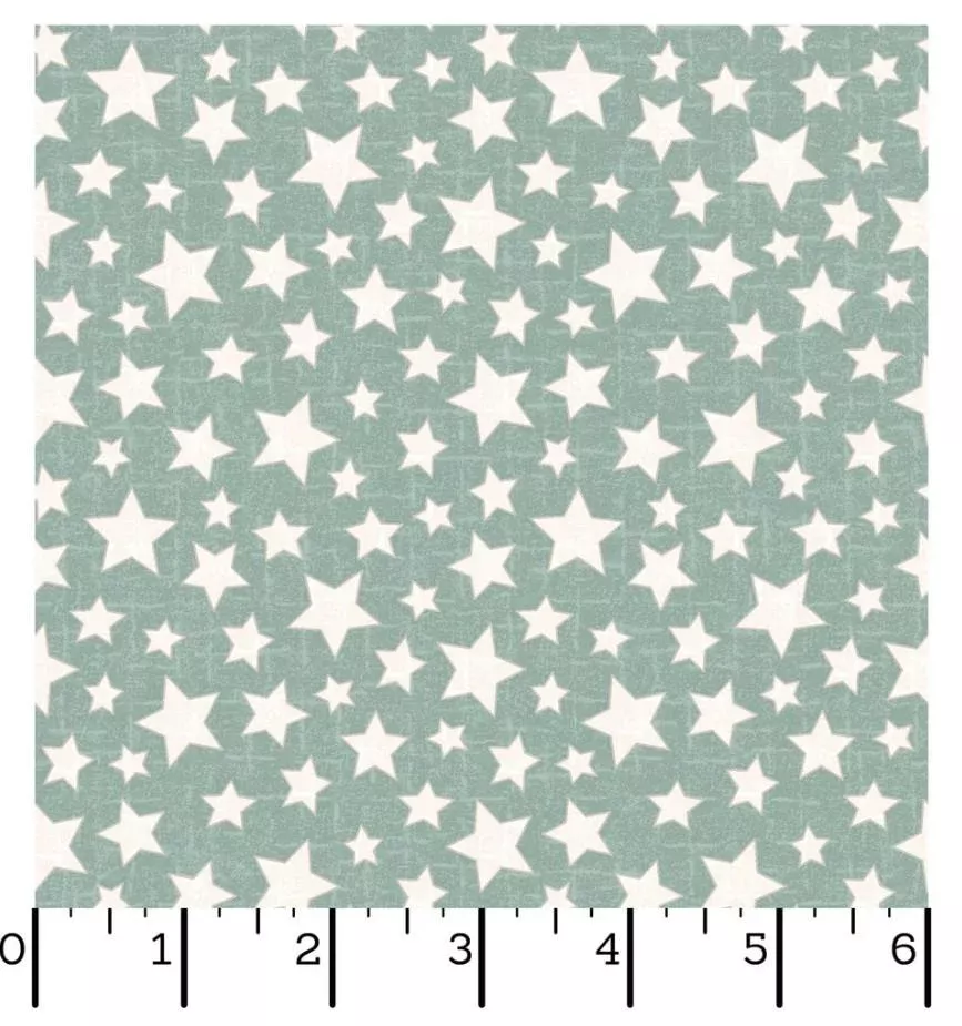 Snowtop Mountain - Flannel - Maywood Studio - Stars Aqua - MASF11165-Q