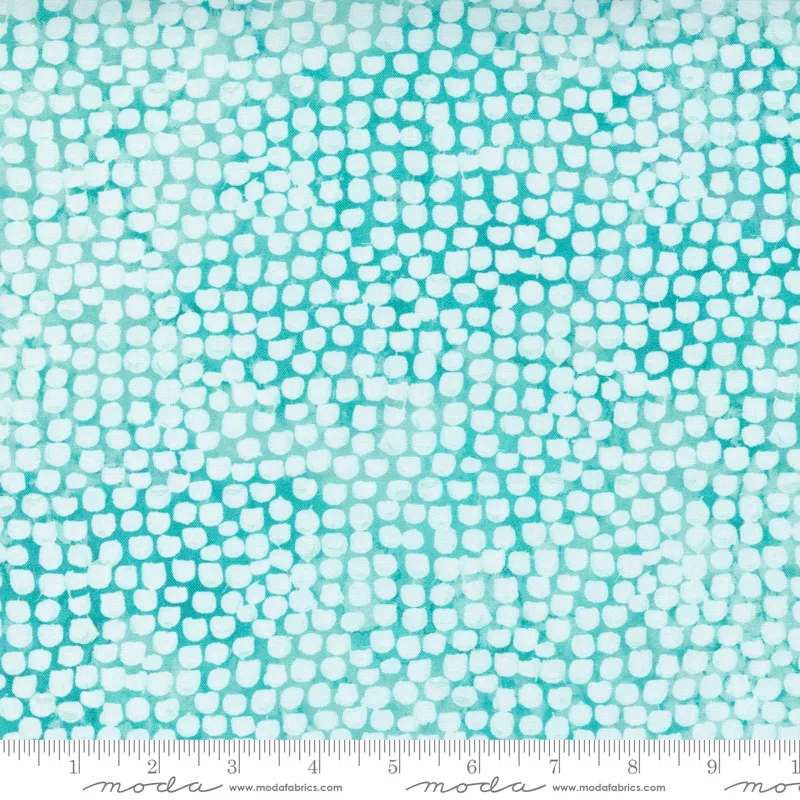 Starflower Christmas Aqua Dot