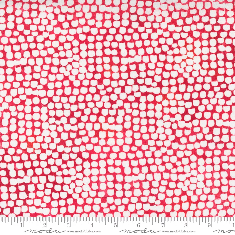 Starflower Christmas Red Dots