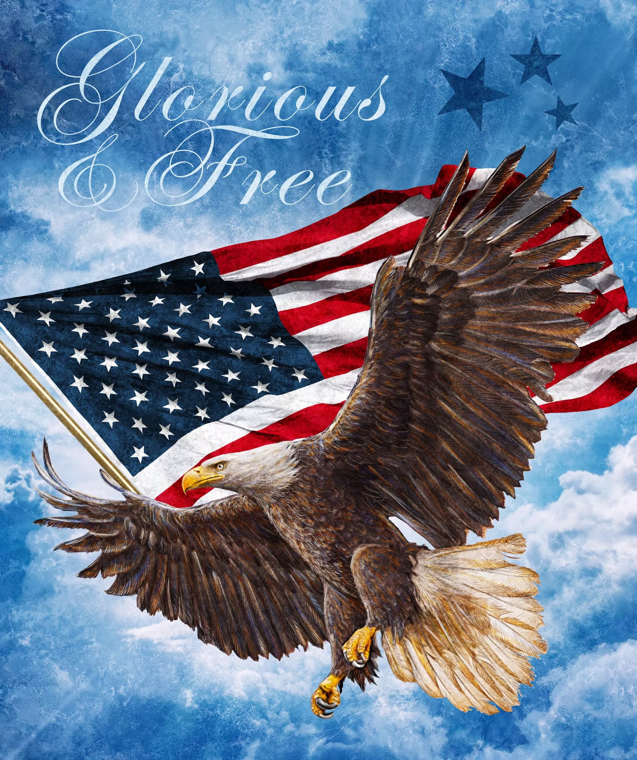 STONEHENGE STARS AND STRIPES : 11 Fat Quarters + Panel - Northcott