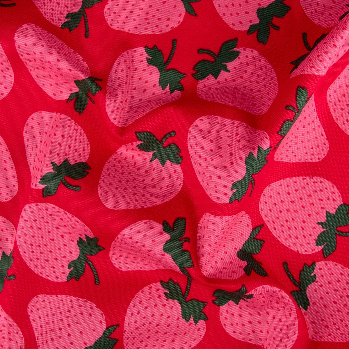 Strawberries in Grid (Red)