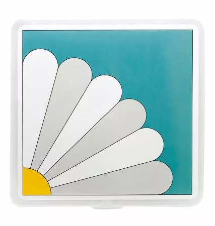 Summit St Storage Box Daisy Girl