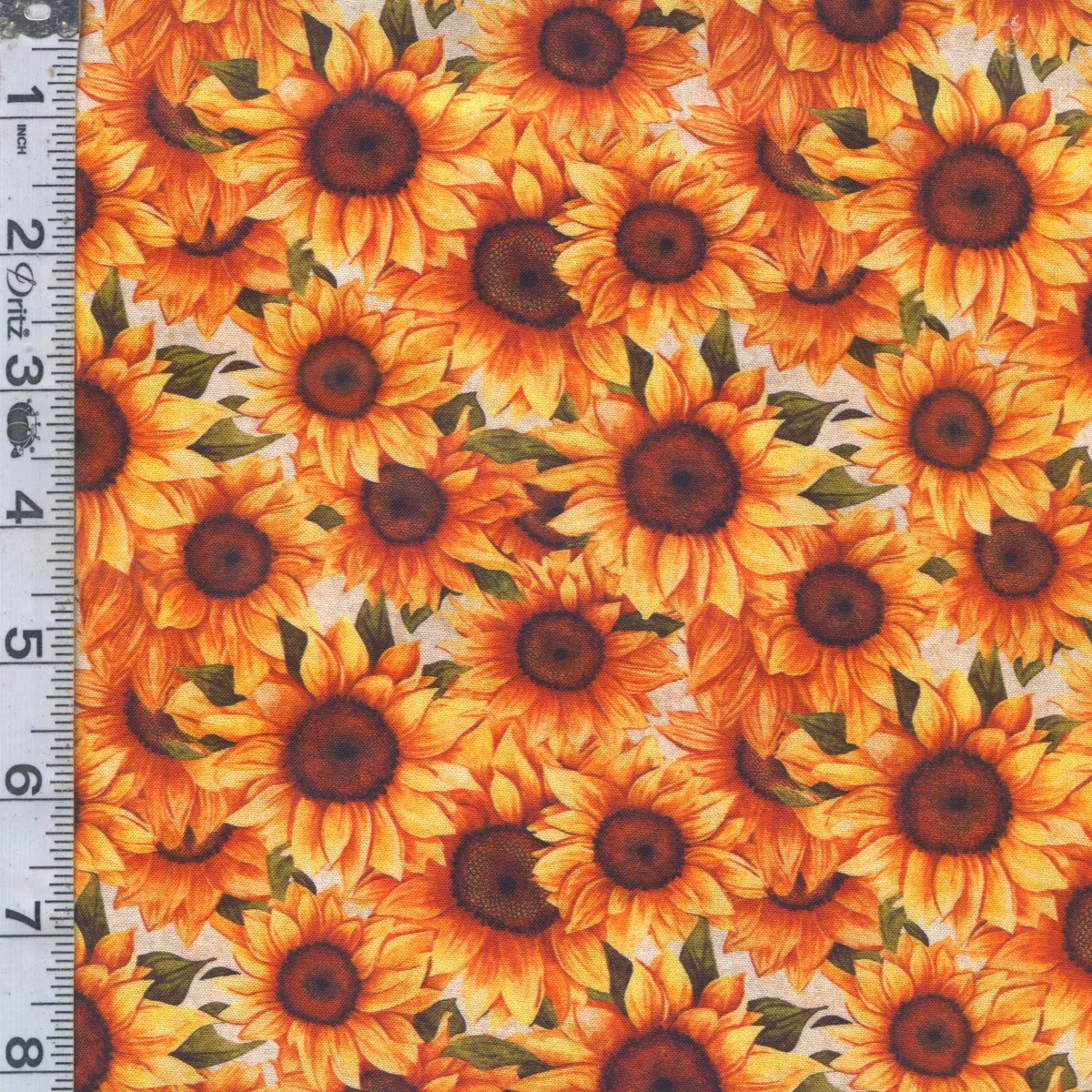 Sunflower Serenade - Packed Large Sunflowers Cream
