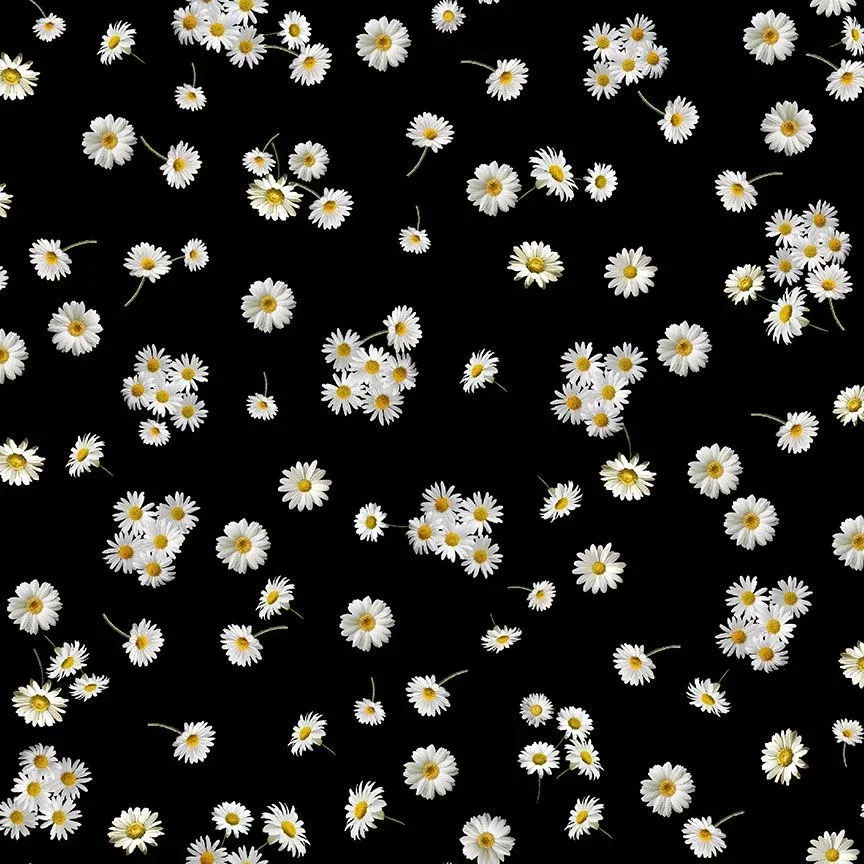 Timeless Treasures Advice From A Sunflower Tossed Small Daisies Fabric ONLINE PURCHASE ONLY