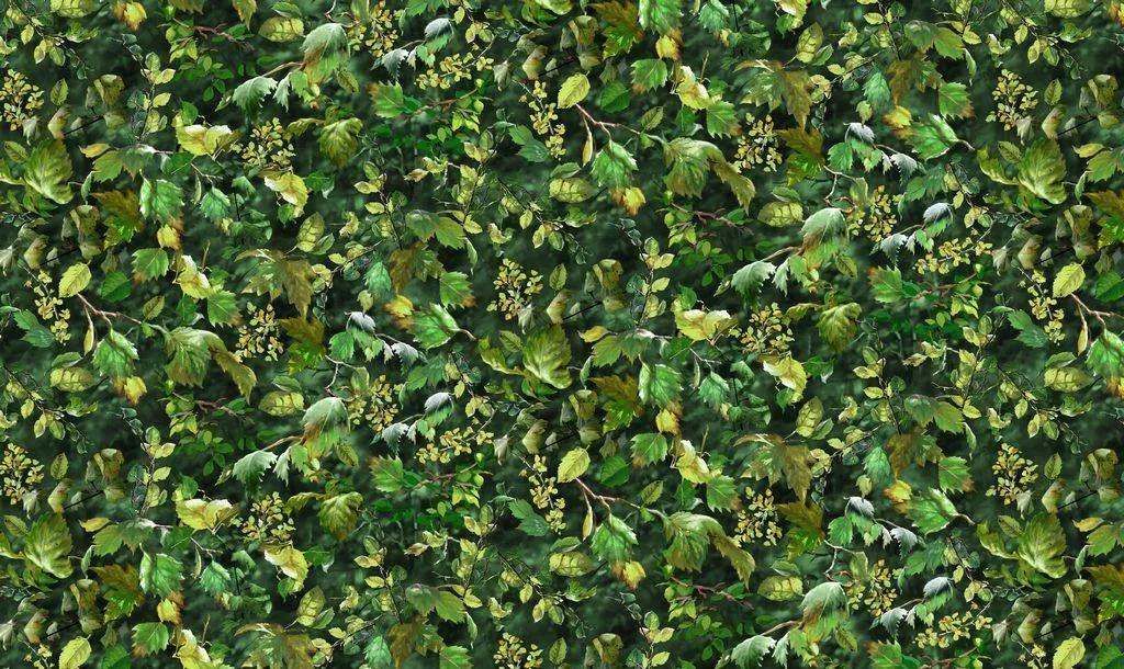 TT Camp Life - CD1912-GREEN - Cotton Fabric