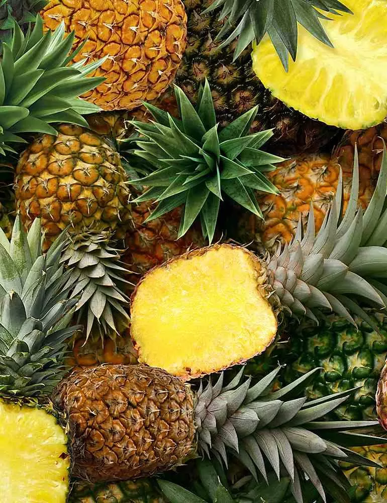 TT Fruit Bowl FRUIT-CD1375-YELLOW - Cotton Fabric