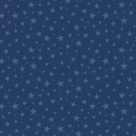 Valor Is Never Forgotten : Stars Blue - #C18884R-BLUE - Riley Blake Designs
