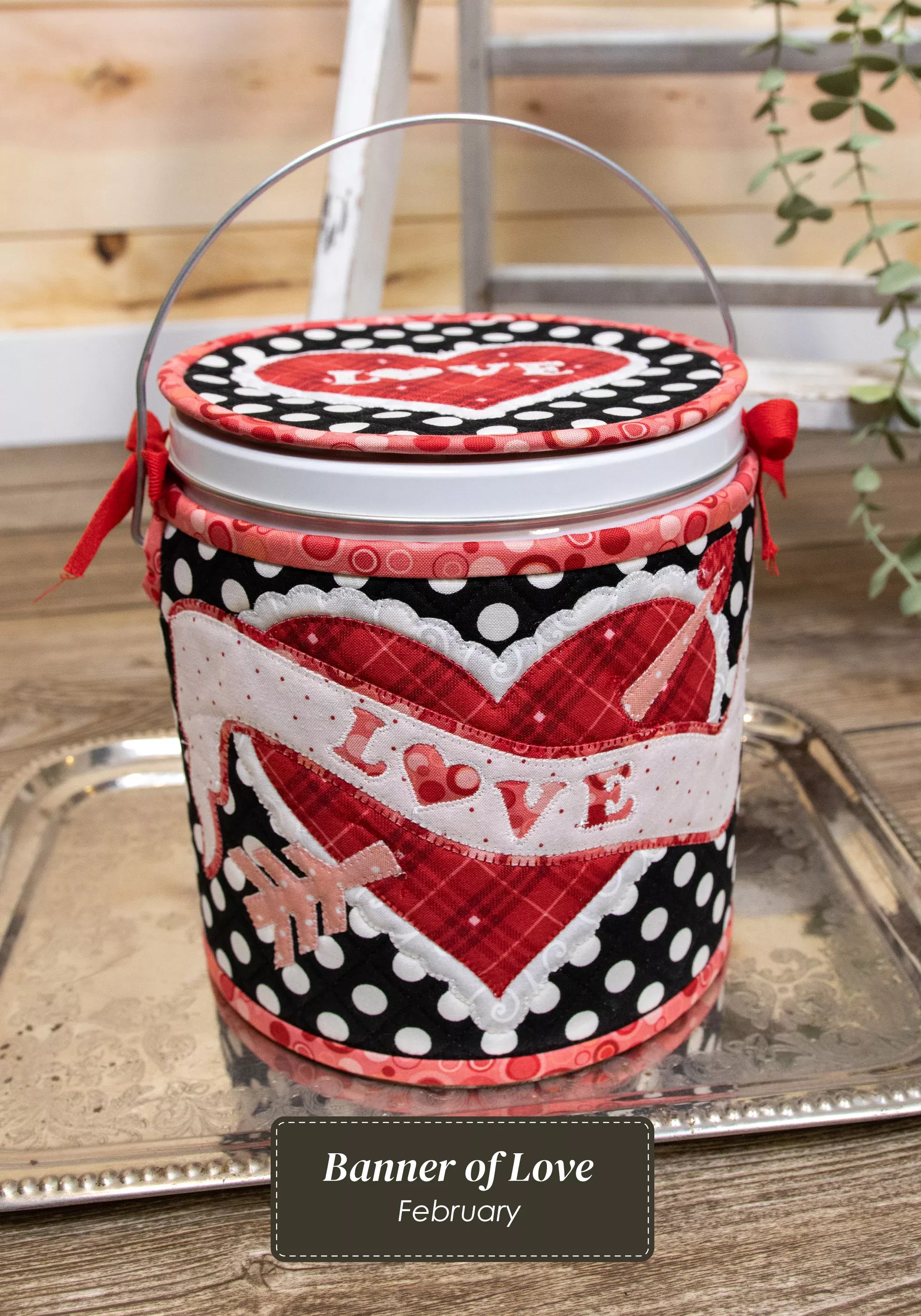 The Whole Country Caboodle Banner of Love Cozy Kit - Sewing