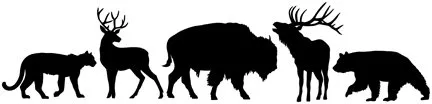 Wildfire Designs Alaska Northwest 5: Black Animal Shape Pack WDA1606N -