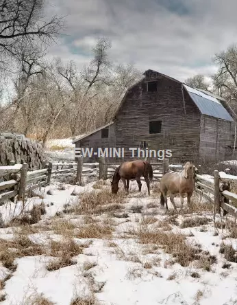 WINTERWIND STABLE FROM HOFFMAN FABRICS