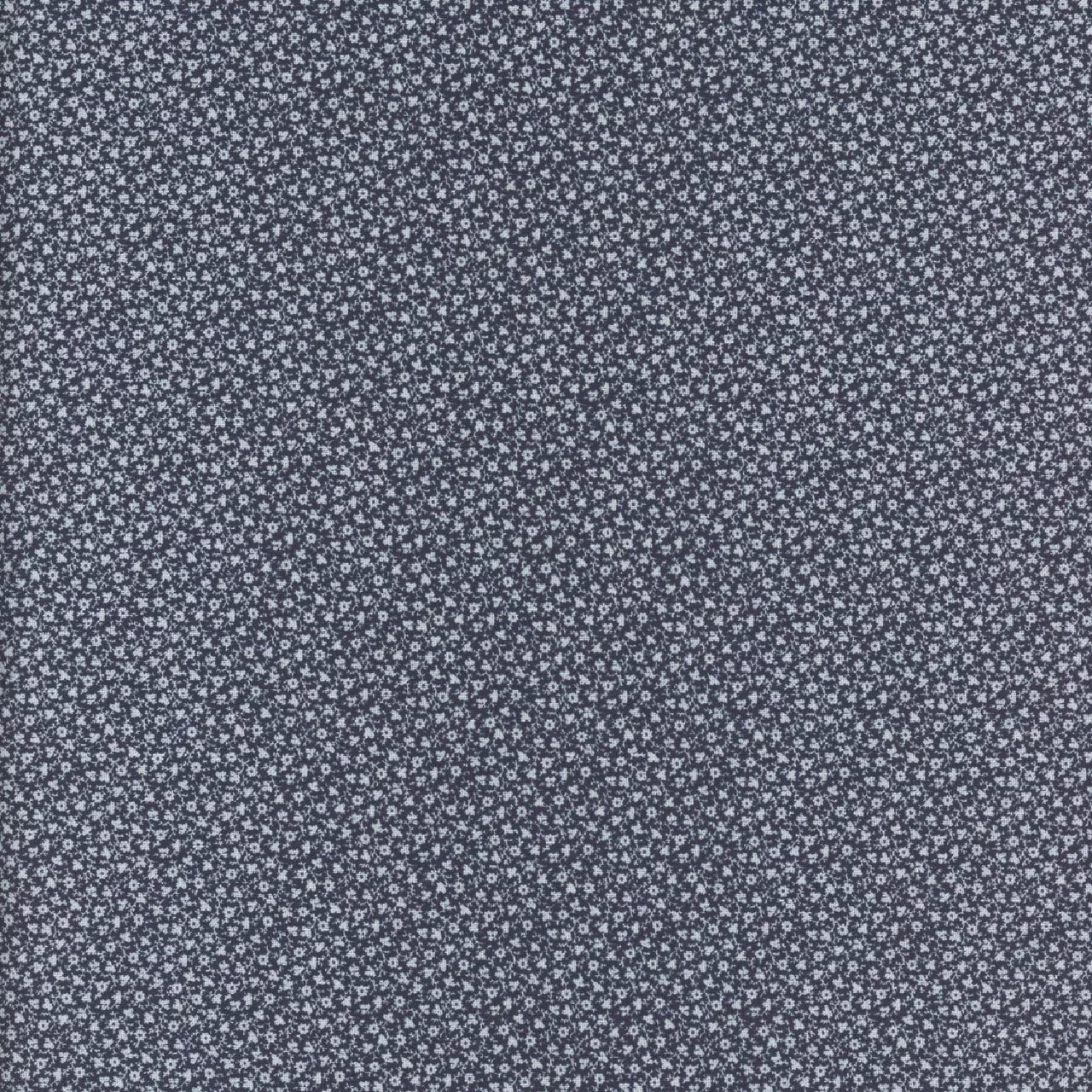 Woof and Warp - Navy Blue Ground Cover R311130D Sheryl Johnson for Marcus Fabrics
