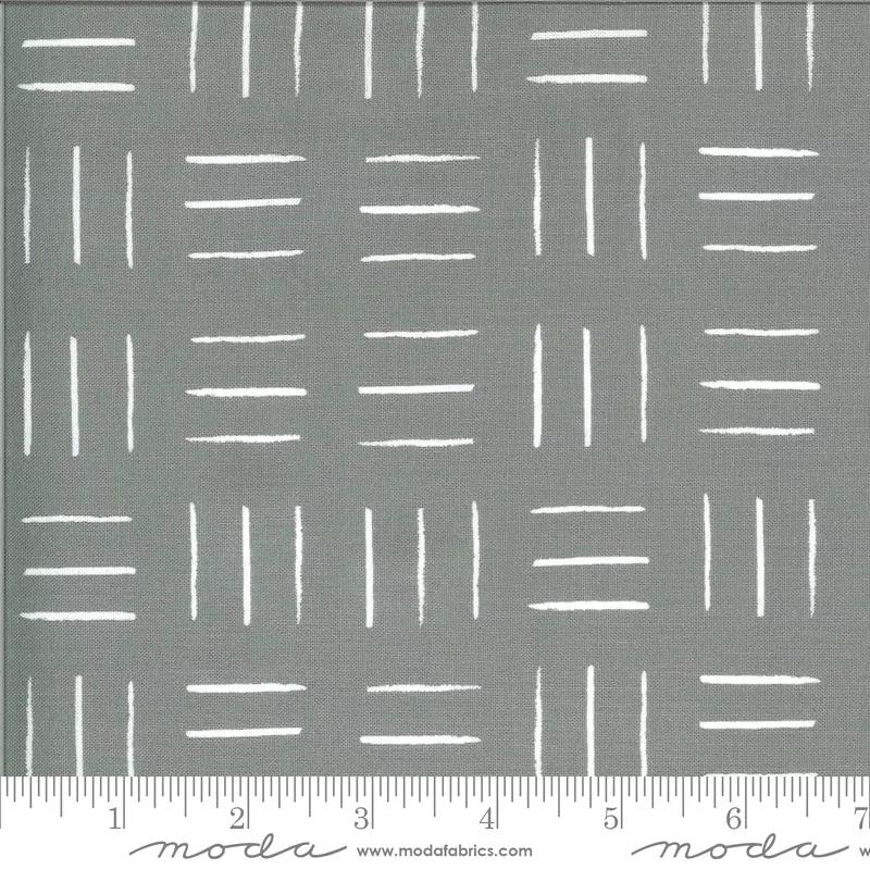 Zoology Grey