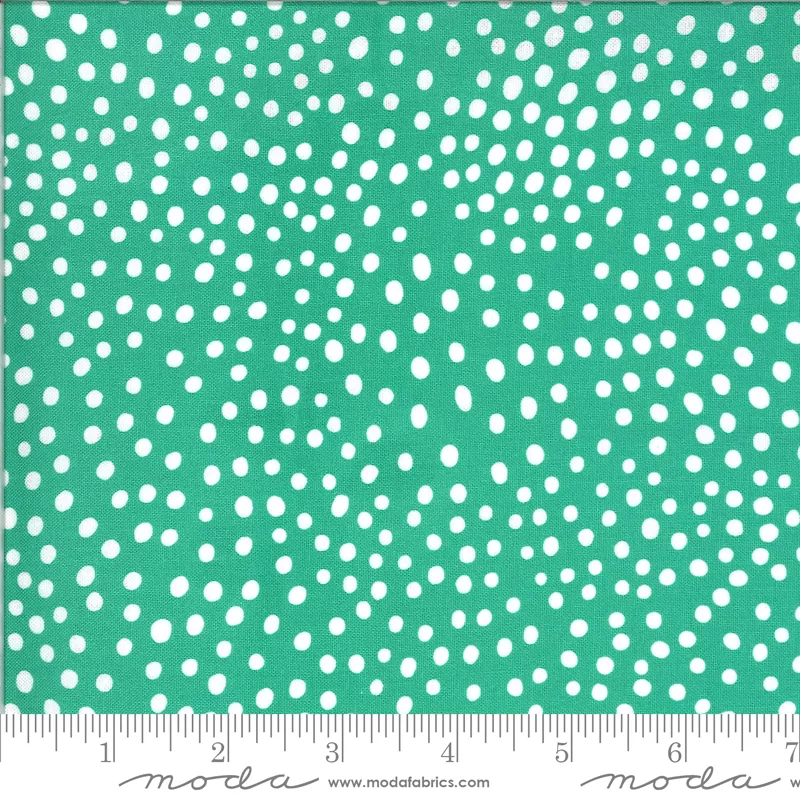 Zoology Peacock Dots